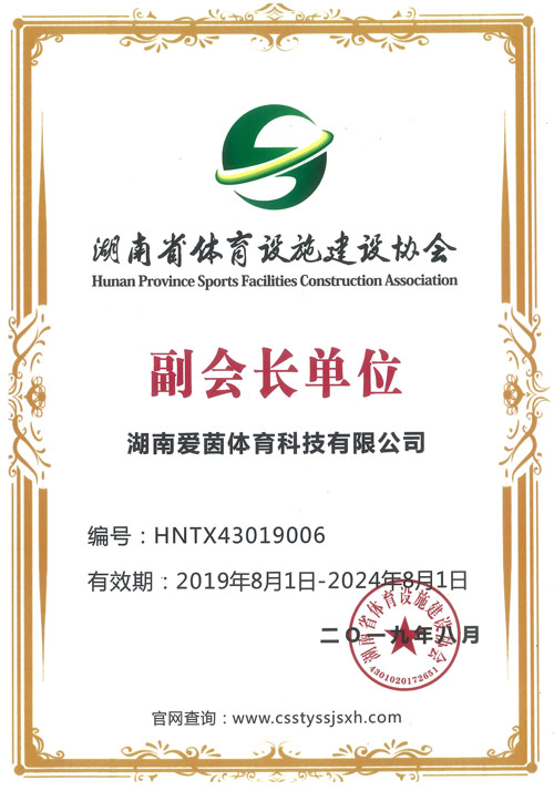 湖南爱茵体育科技有限公司