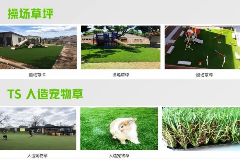 金年会金字招牌信誉至上