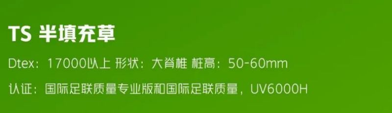 金年会金字招牌信誉至上