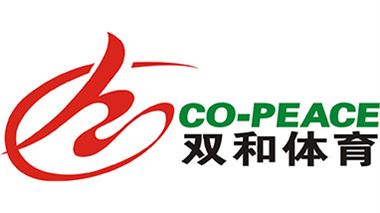 湖南双和建设有限公司